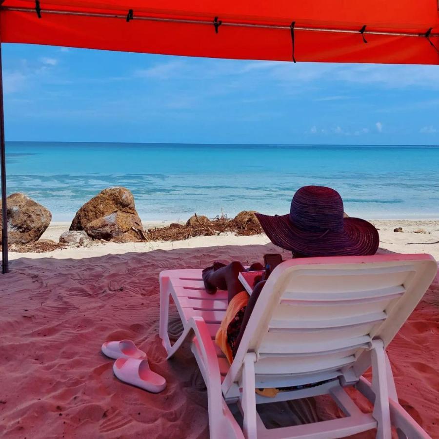 Brig Bay Sunset Bay B&B المظهر الخارجي الصورة